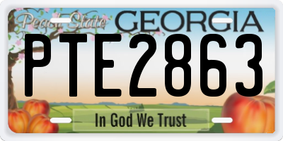 GA license plate PTE2863