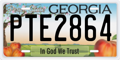 GA license plate PTE2864