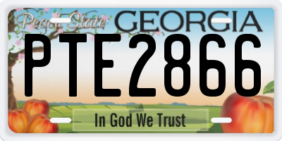 GA license plate PTE2866