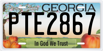 GA license plate PTE2867