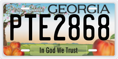 GA license plate PTE2868