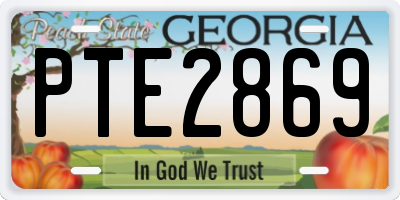 GA license plate PTE2869
