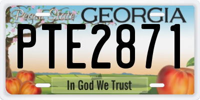GA license plate PTE2871