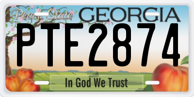 GA license plate PTE2874