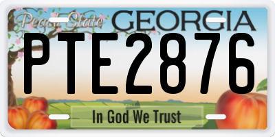 GA license plate PTE2876