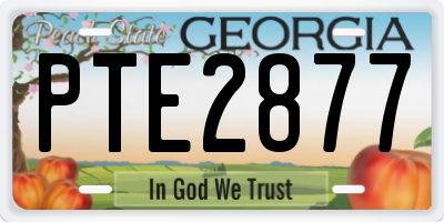 GA license plate PTE2877