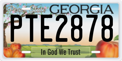 GA license plate PTE2878