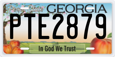 GA license plate PTE2879