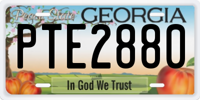 GA license plate PTE2880