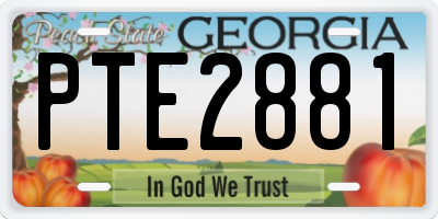 GA license plate PTE2881