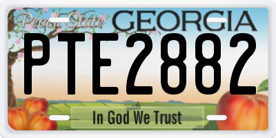 GA license plate PTE2882