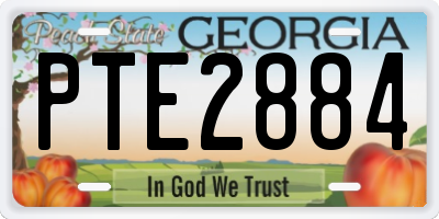 GA license plate PTE2884