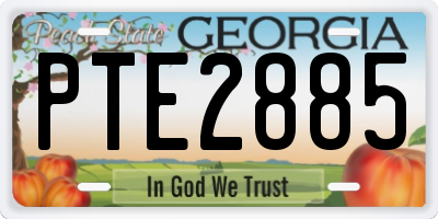 GA license plate PTE2885