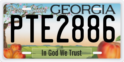 GA license plate PTE2886