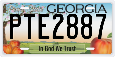 GA license plate PTE2887