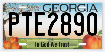 GA license plate PTE2890