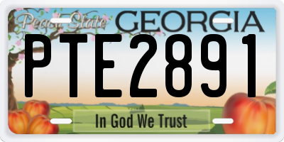 GA license plate PTE2891