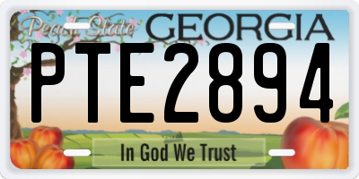 GA license plate PTE2894