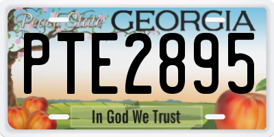 GA license plate PTE2895