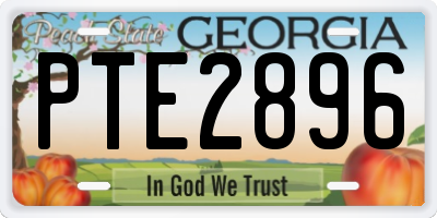 GA license plate PTE2896