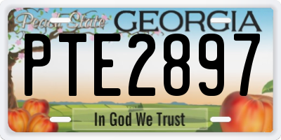 GA license plate PTE2897