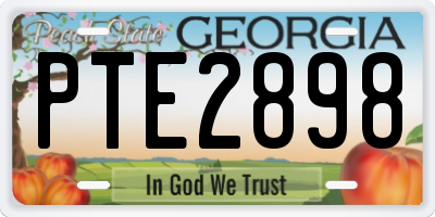 GA license plate PTE2898
