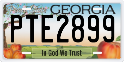 GA license plate PTE2899