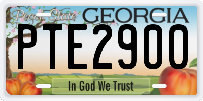 GA license plate PTE2900