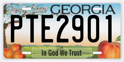 GA license plate PTE2901