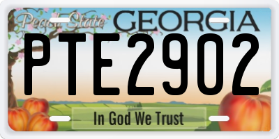 GA license plate PTE2902