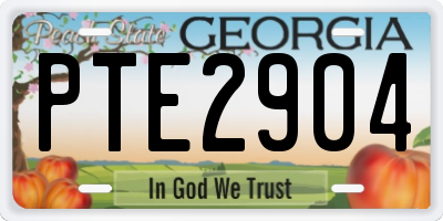 GA license plate PTE2904
