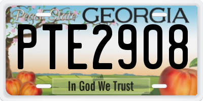 GA license plate PTE2908