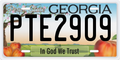 GA license plate PTE2909
