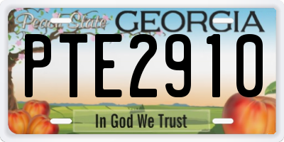 GA license plate PTE2910