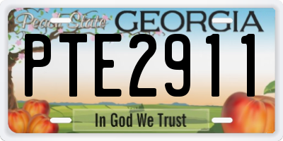GA license plate PTE2911