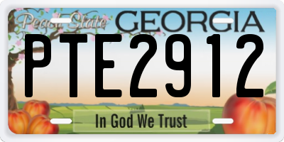 GA license plate PTE2912