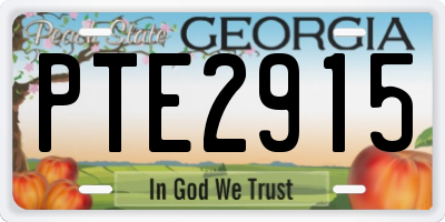 GA license plate PTE2915