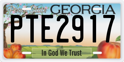 GA license plate PTE2917