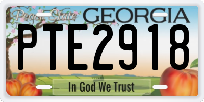 GA license plate PTE2918