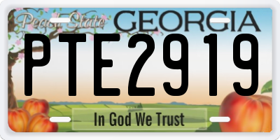 GA license plate PTE2919