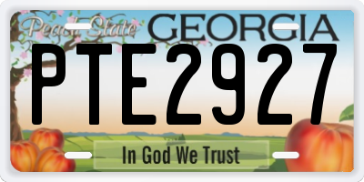 GA license plate PTE2927