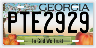 GA license plate PTE2929