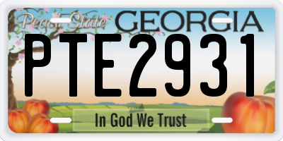 GA license plate PTE2931