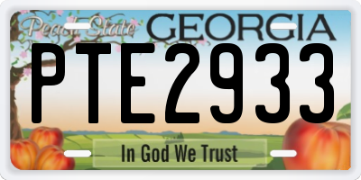 GA license plate PTE2933