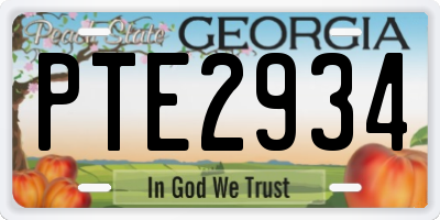 GA license plate PTE2934