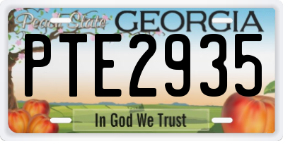 GA license plate PTE2935
