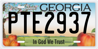 GA license plate PTE2937