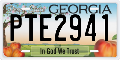 GA license plate PTE2941