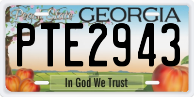 GA license plate PTE2943
