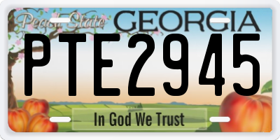 GA license plate PTE2945